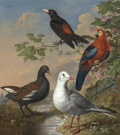 A Moorhen, A Gull, A Scarlet Macaw and Red-Rumped A Cacique By a Stream in a Landscape, Philip Reinagle